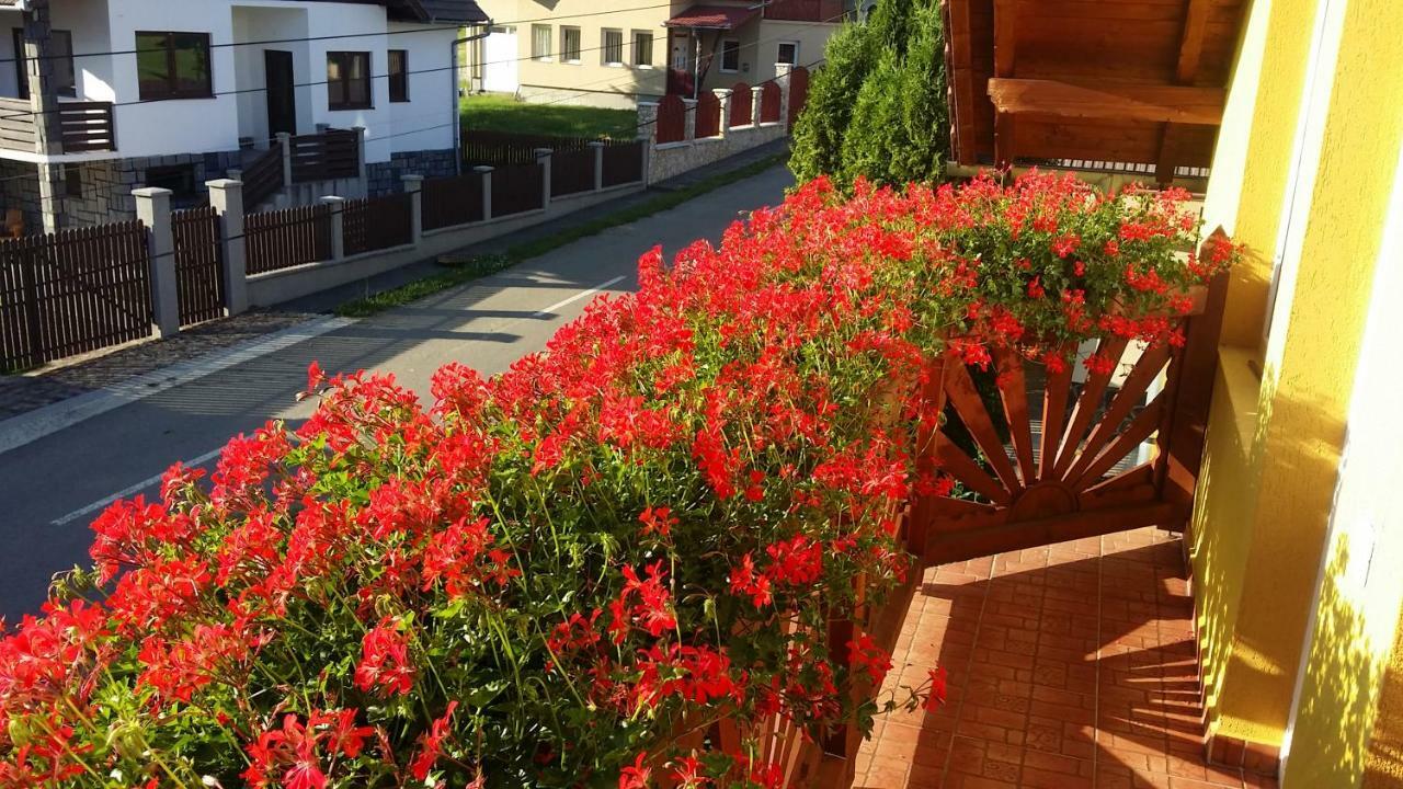 Bed and Breakfast Hazanéző Panzió à Corund  Extérieur photo